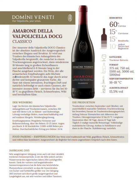 Amarone della Valpolicella DOCG Classico 0,375 15,5% - 2016 / Domini Veneti