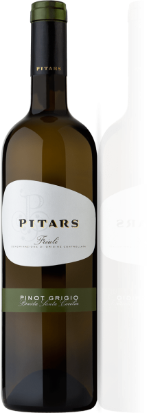 Pinot Grigio DOC Friuli 0.75l 13% - 2021 | Pitars