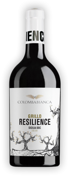 Resilience Grillo Sicilia DOC 0,75l 13% - 2020 | Colomba Bianca
